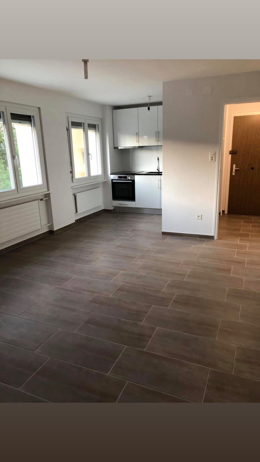 2 ½ rooms apartment