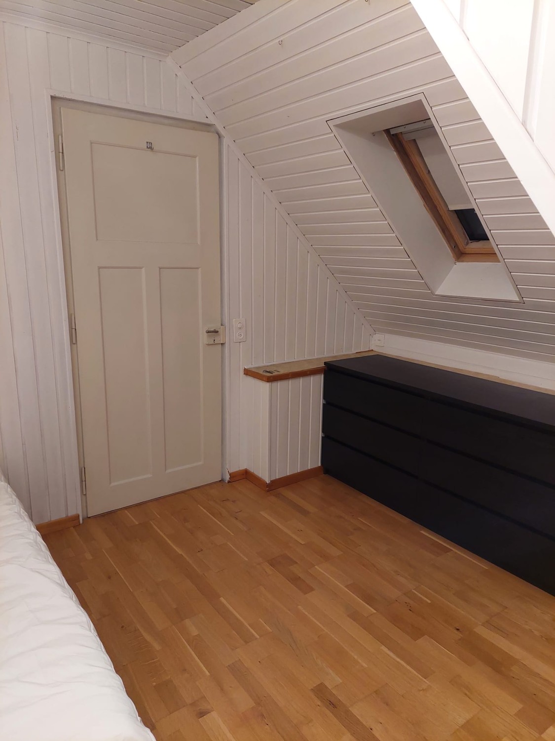 Room in a shared flat