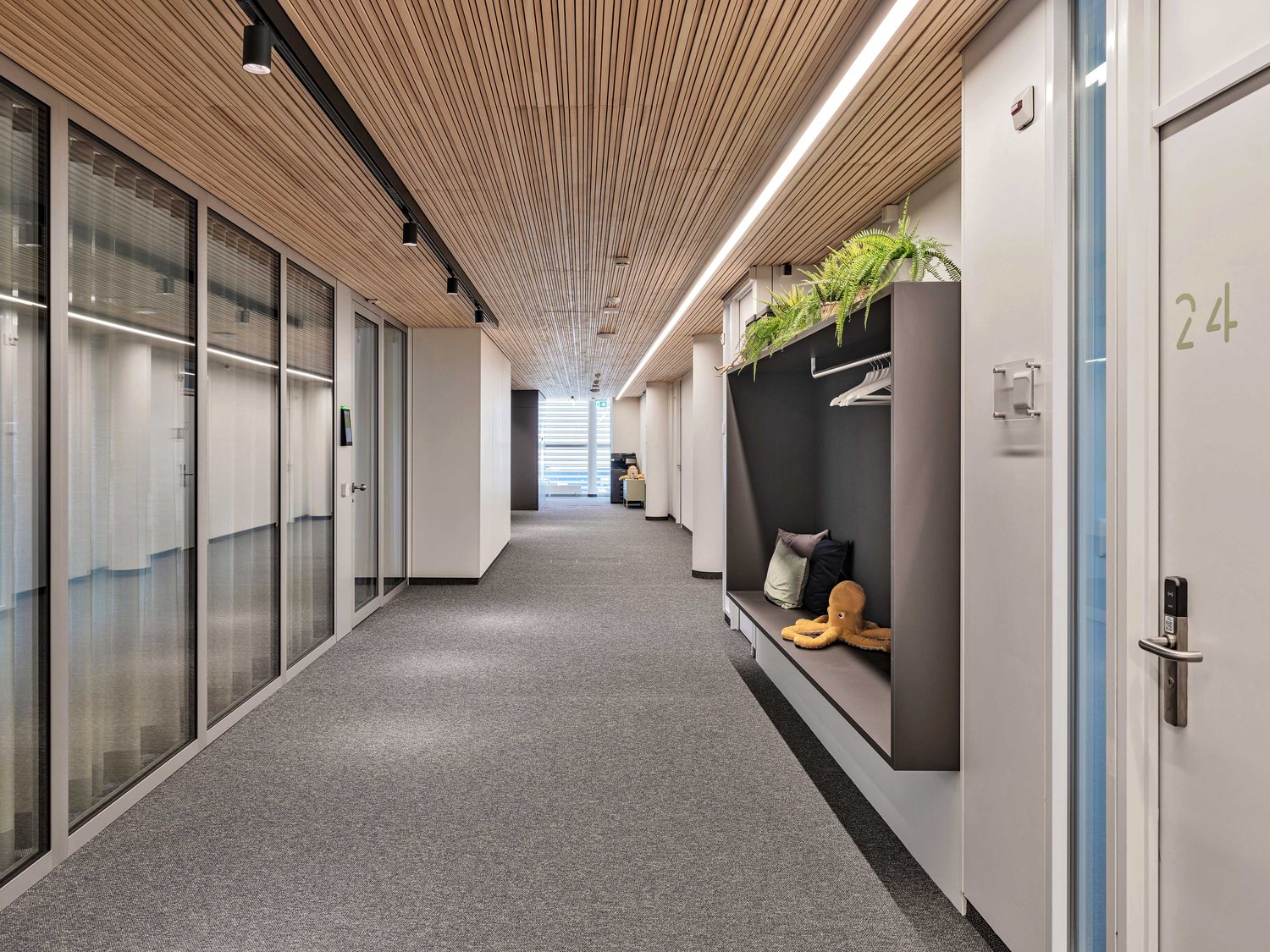 244m² office, photo 5 of 10