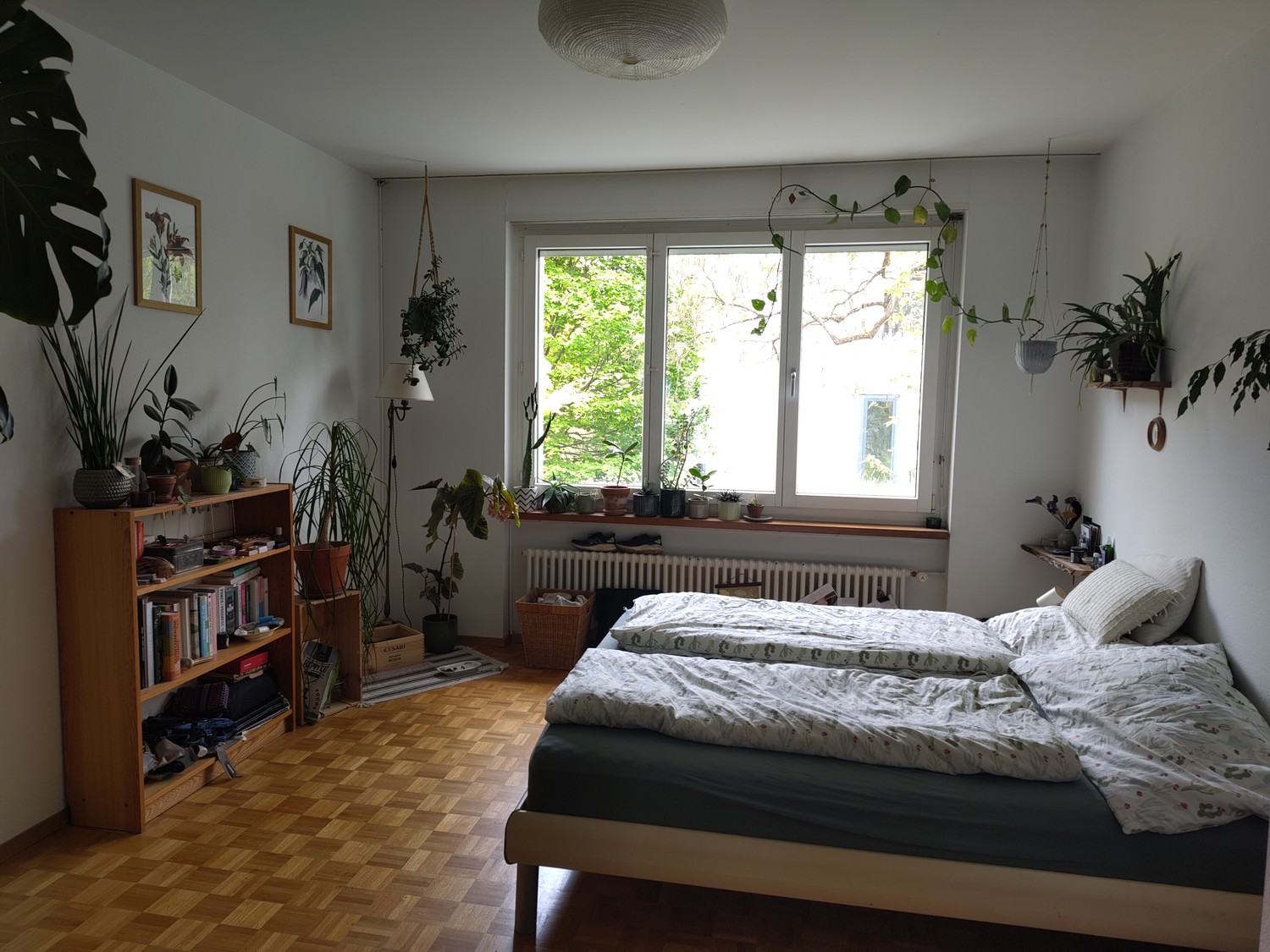 3 rooms apartment