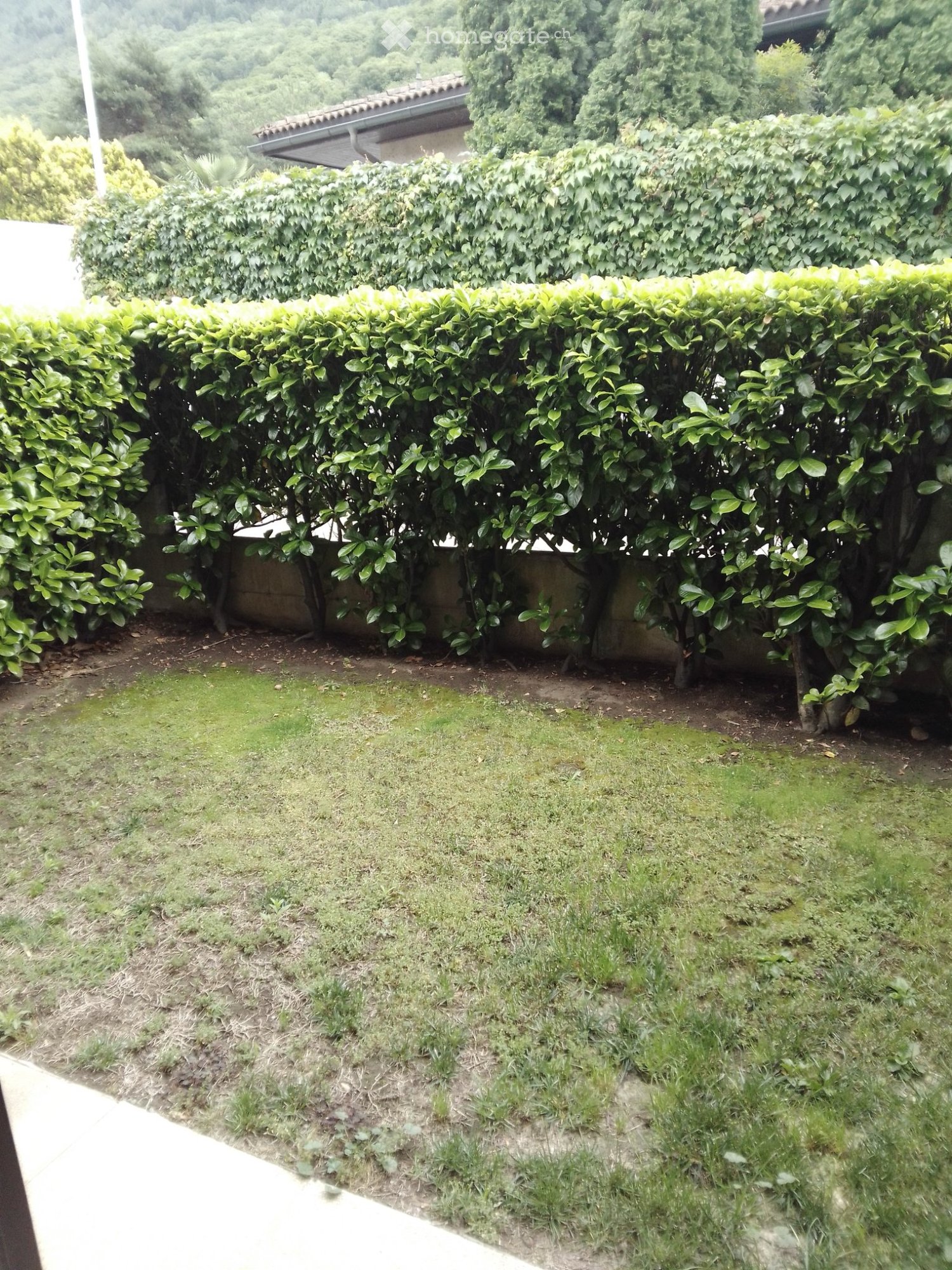 2 ½ rooms apartment, photo 1 of 5