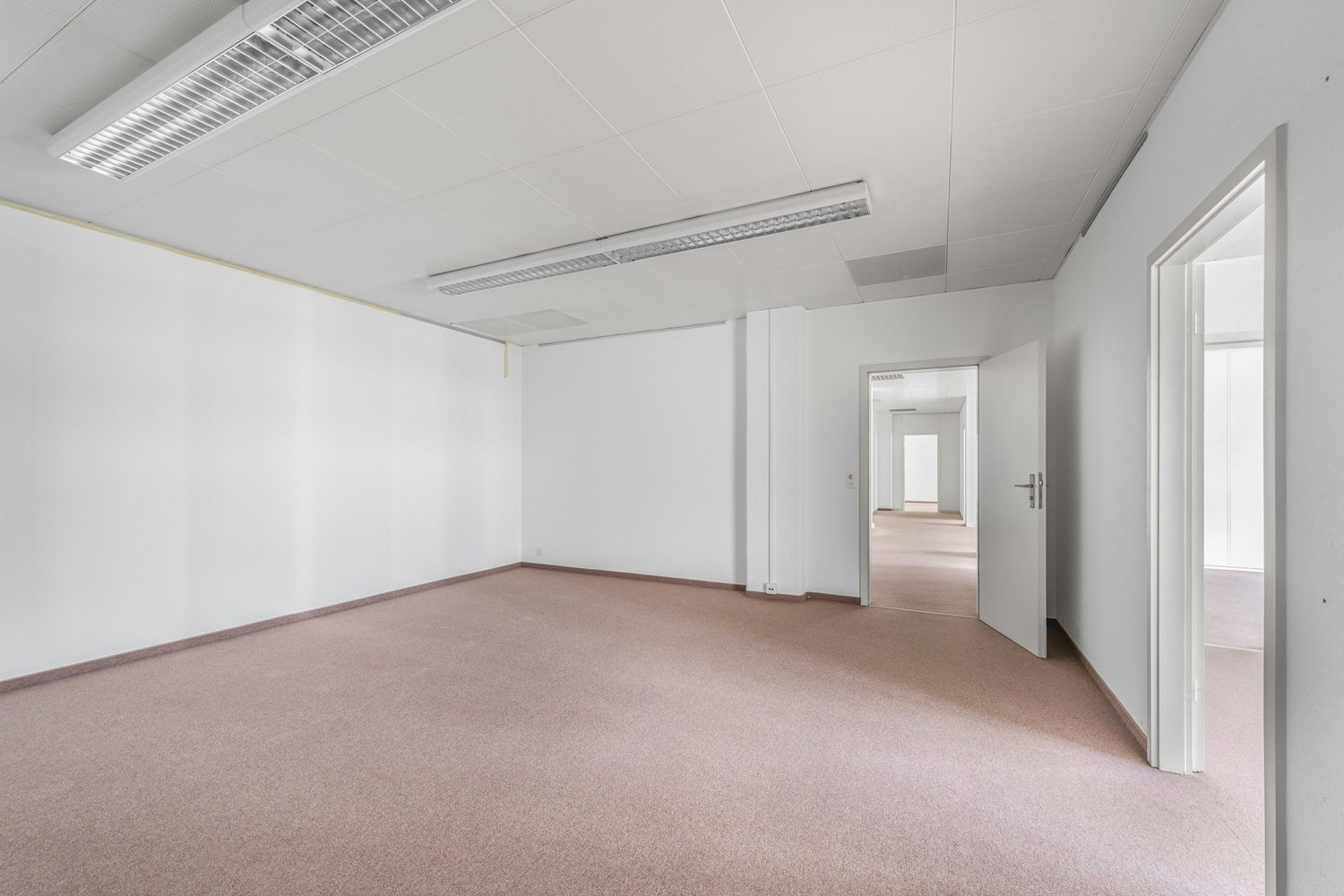 291m² commercial, photo 6 of 10