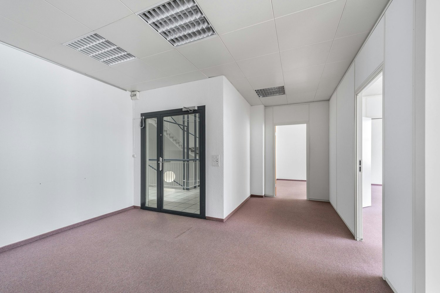 291m² commercial, photo 3 of 10