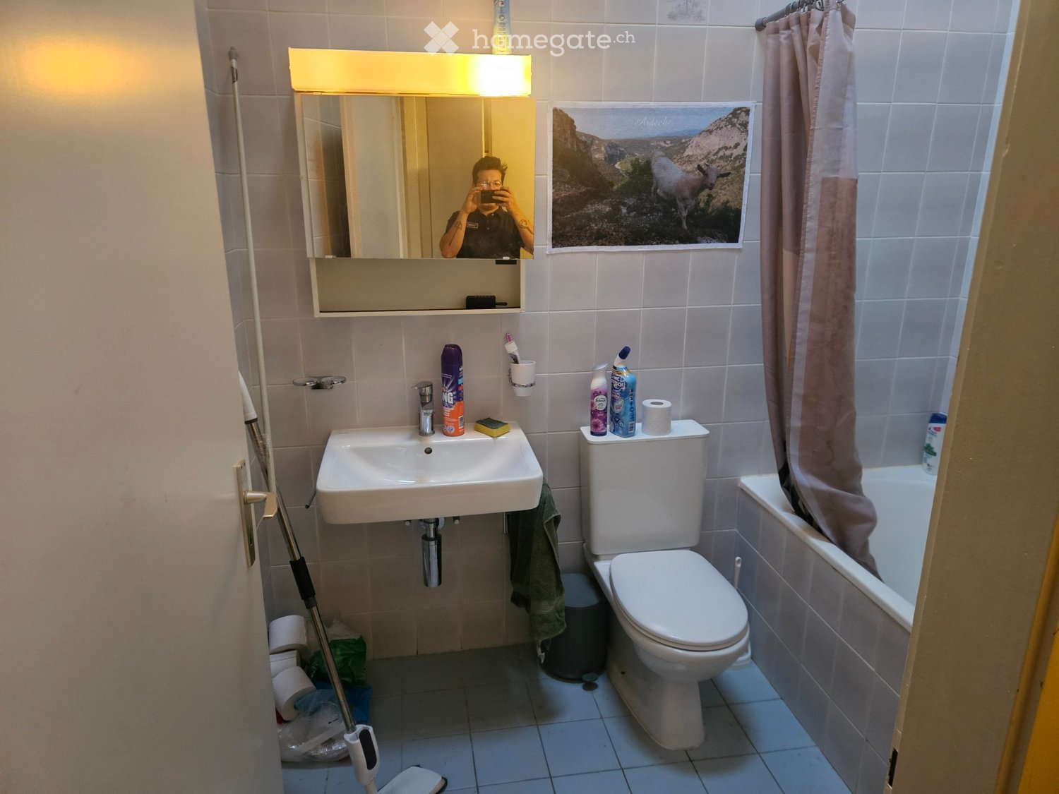 1 rooms apartment