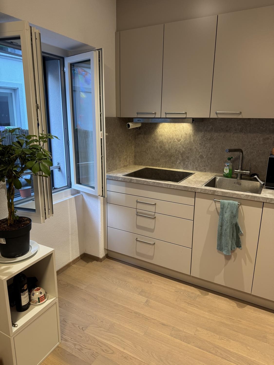 2 ½ rooms apartment