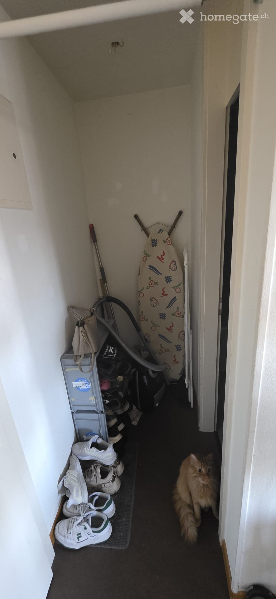 1 room apartment, photo 4 of 5