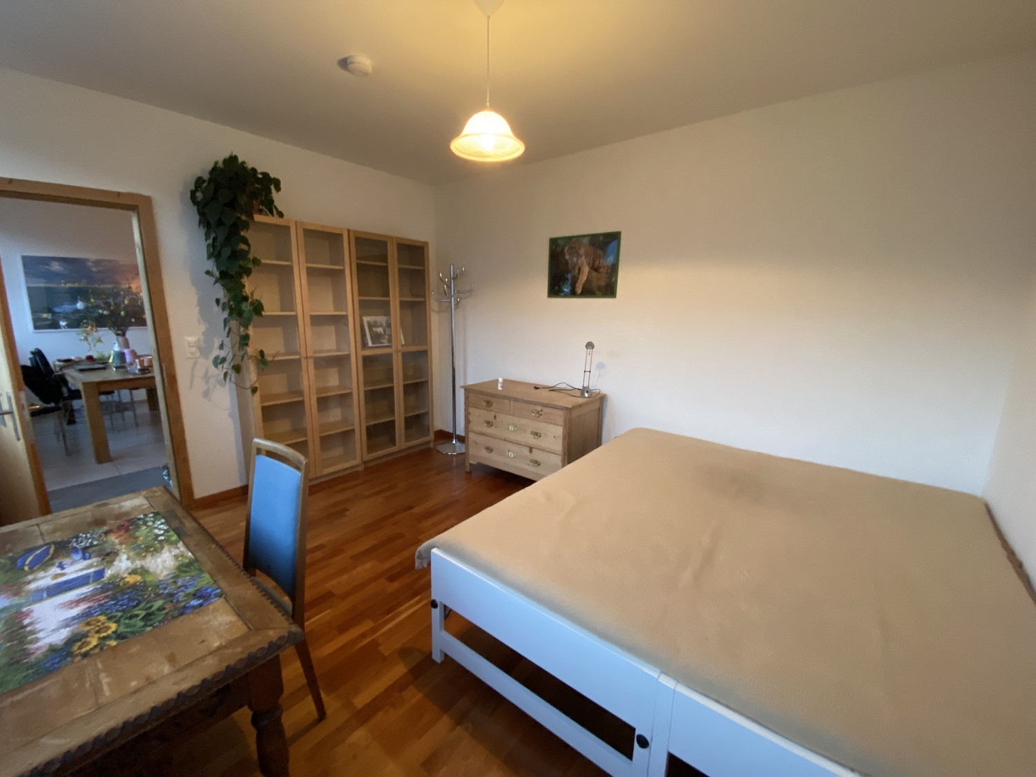 Room in a shared flat