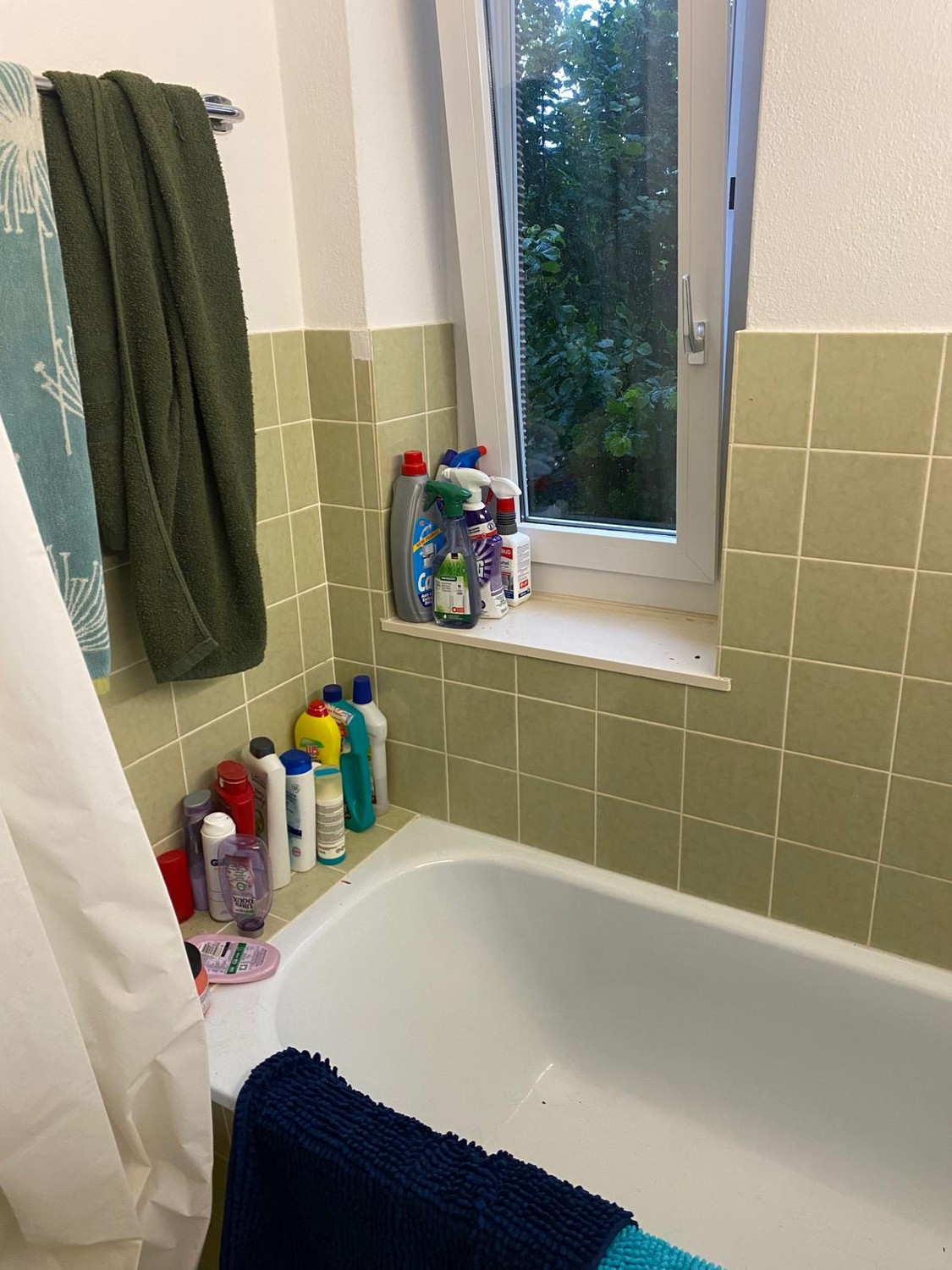 Room in a shared flat
