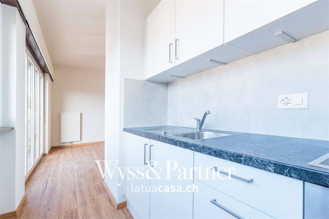 2 ½ rooms apartment