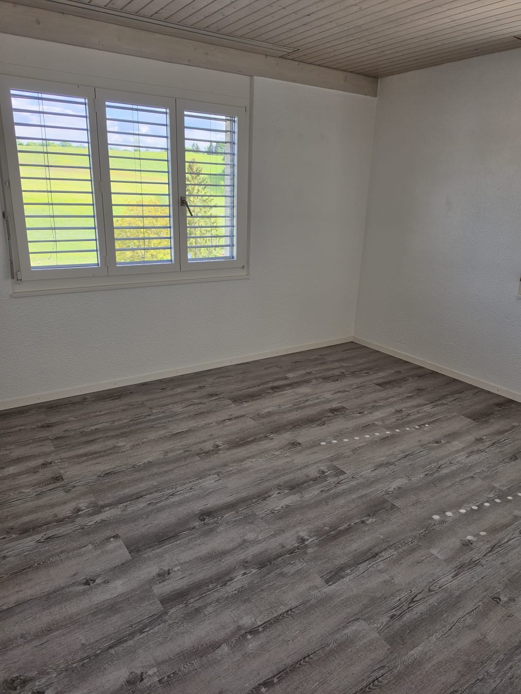 Appartamento di 3 ½ locali, foto 2 di 5