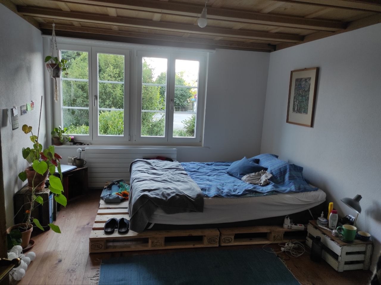Chambre dans une colocation