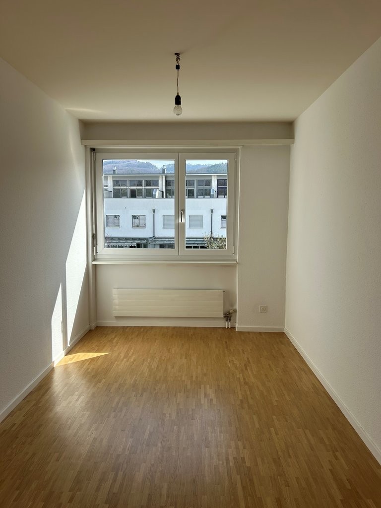 Appartamento di 4 ½ locali (4)