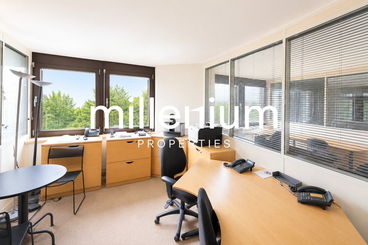 Office, photo 4 of 7