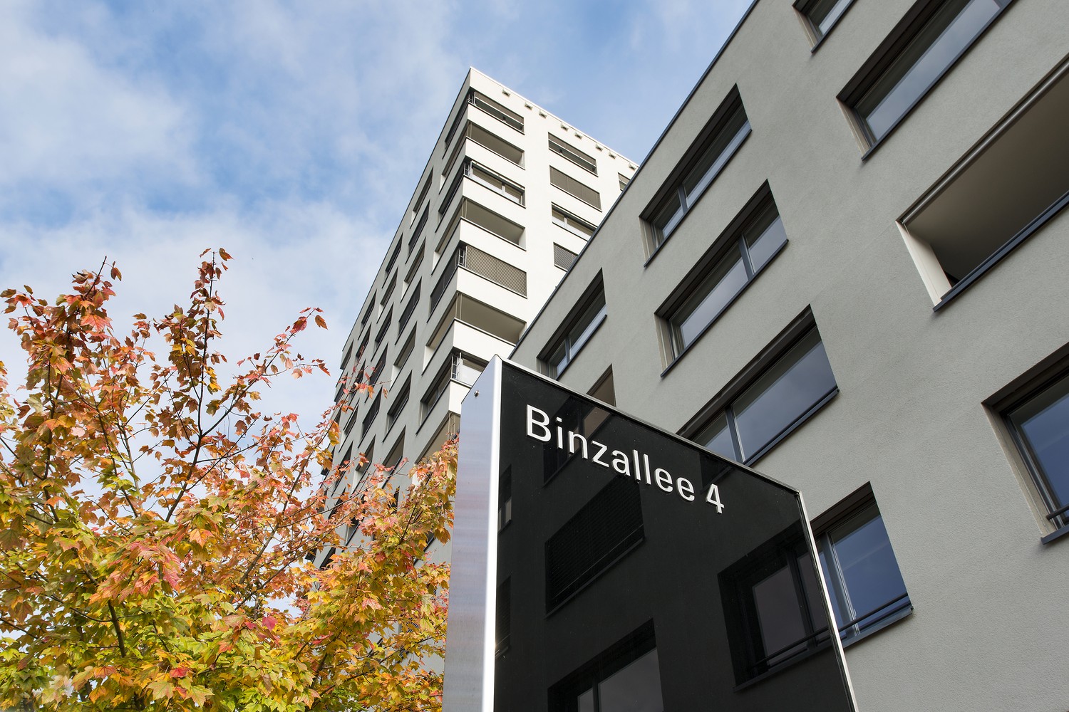 383m² office, photo 2 of 10