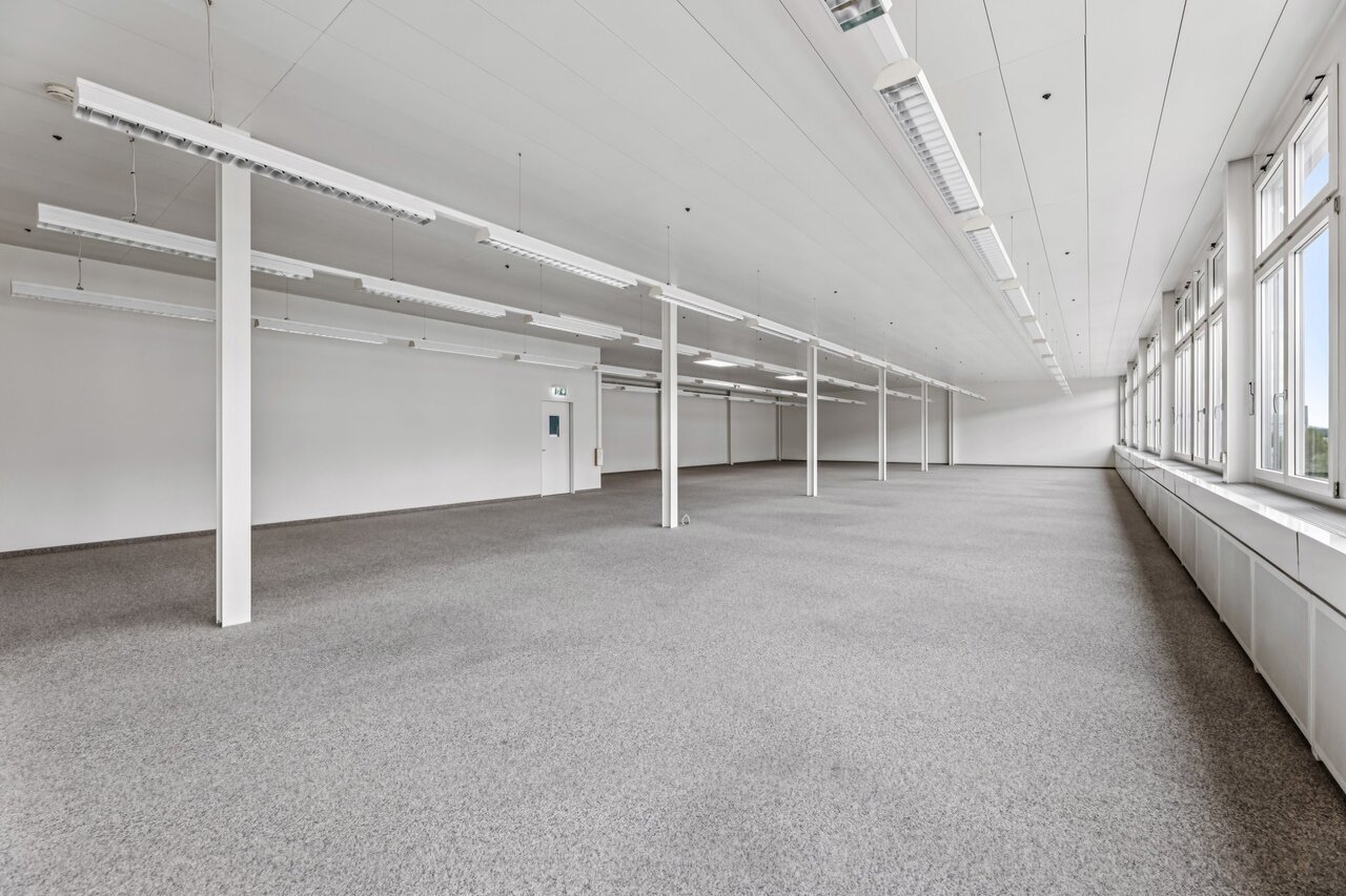 331m² commerciale