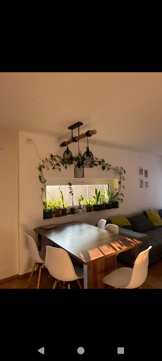 Room in a shared flat