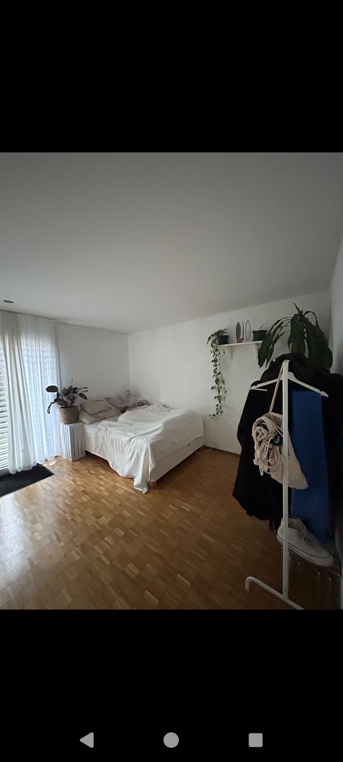 Room in a shared flat