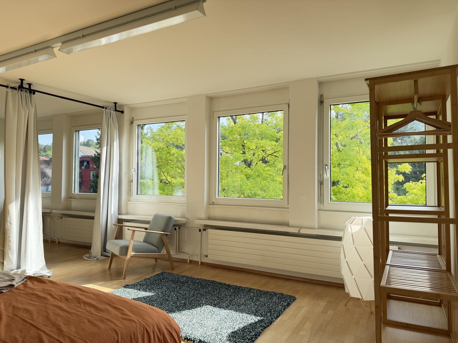 Room in a shared flat