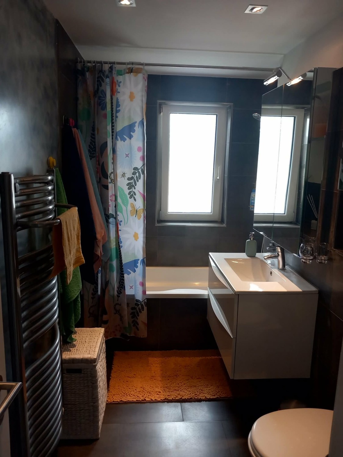 4 ½ rooms apartment