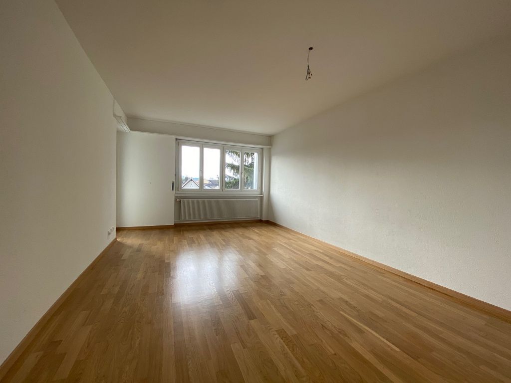 4 ½ rooms apartment (6)