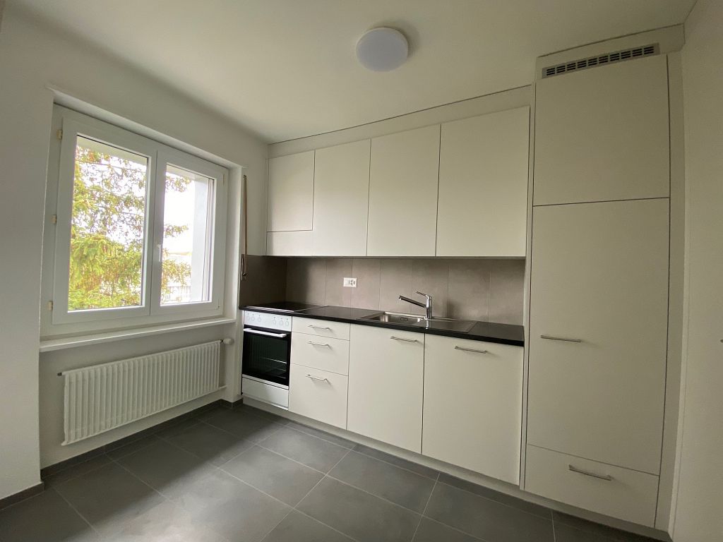 4 ½ rooms apartment (4)