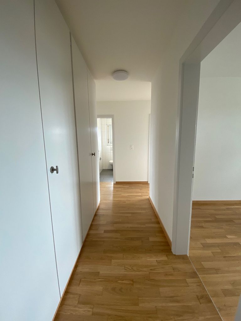 4 ½ rooms apartment (3)
