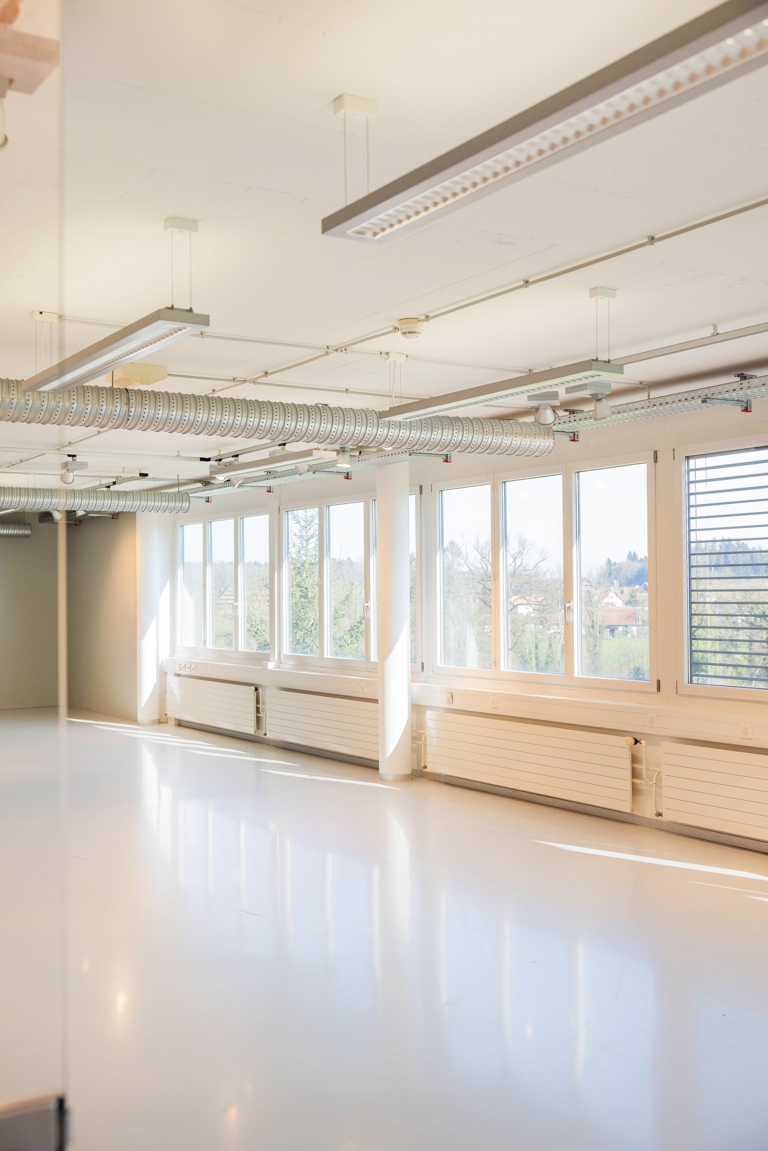 65m² bureau, photo 2 sur 10