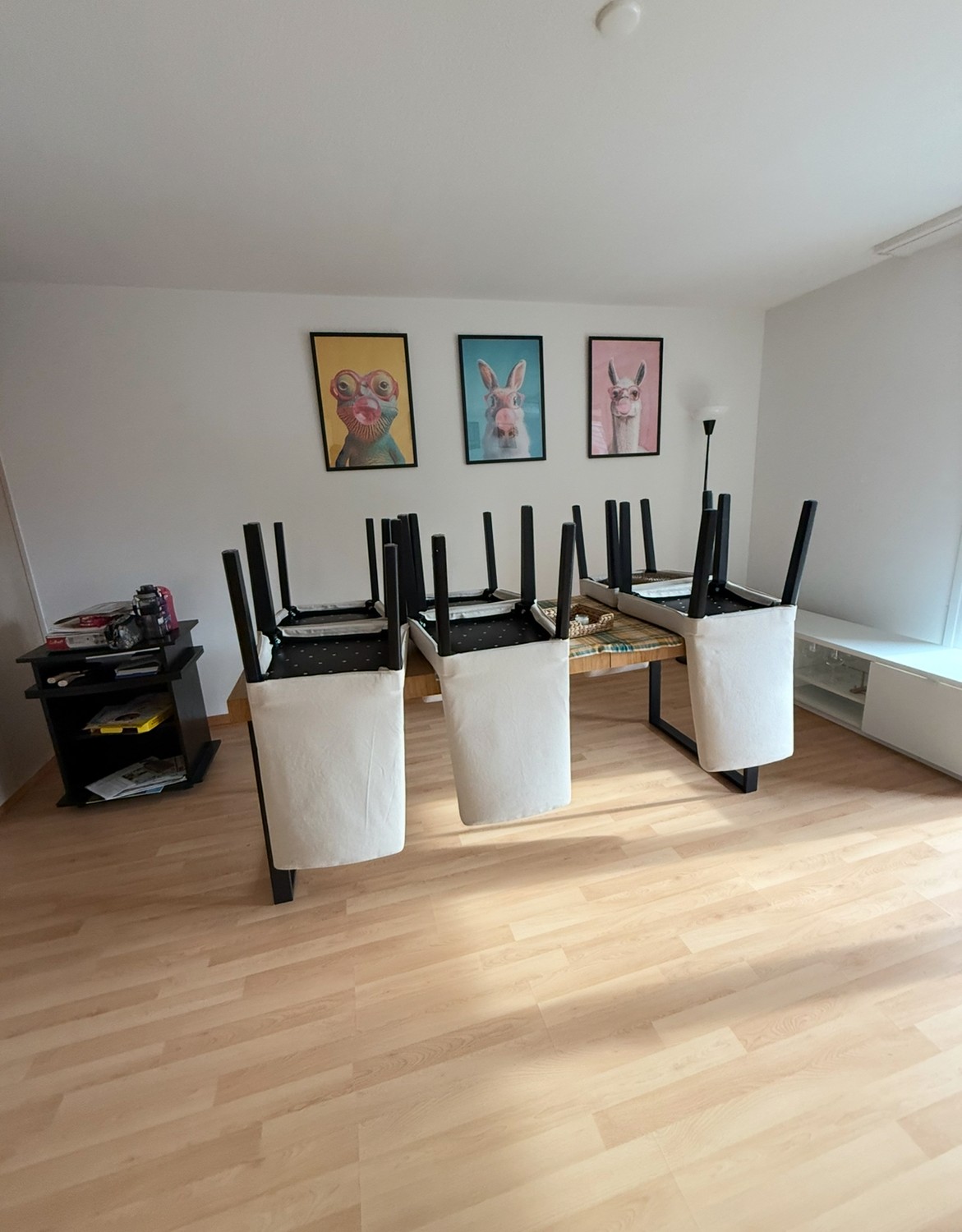 Chambre en colocation