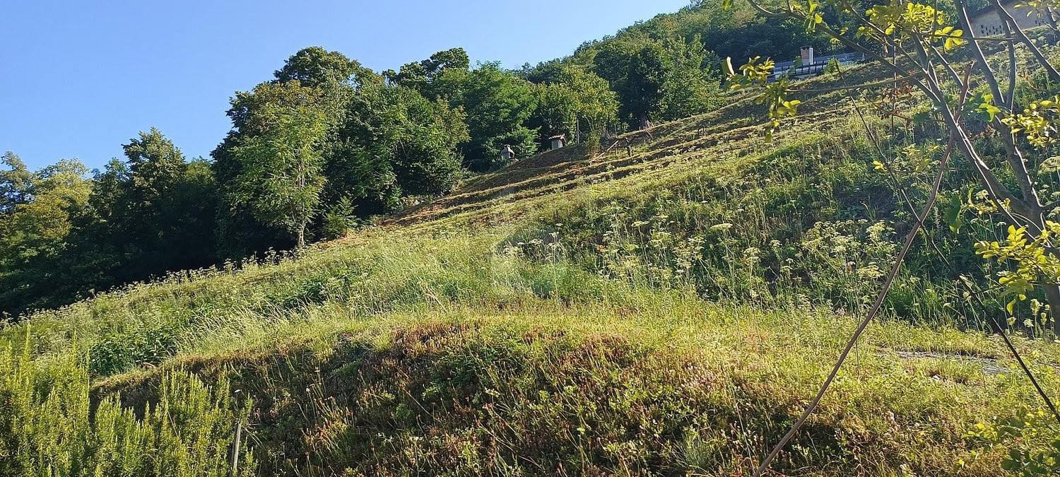 700m² building land, photo 3 of 4