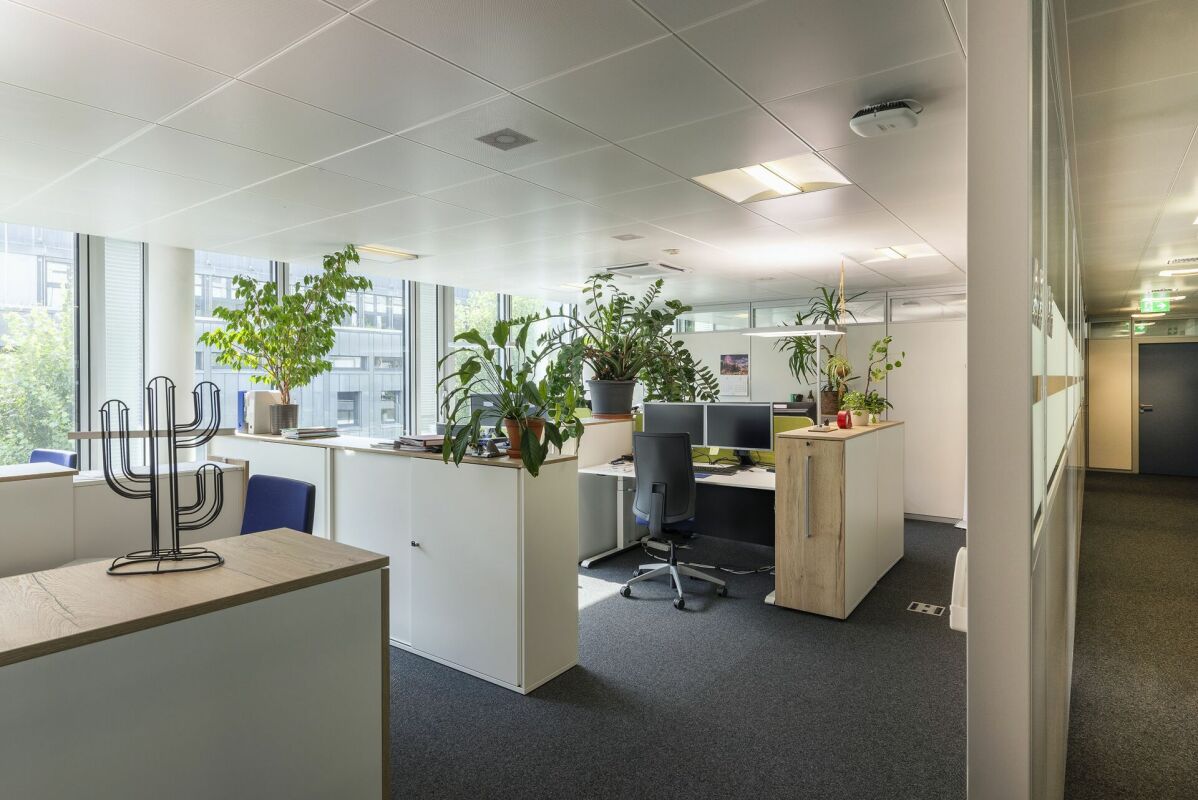 565m² office, photo 5 of 8