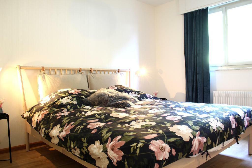 3 rooms apartment