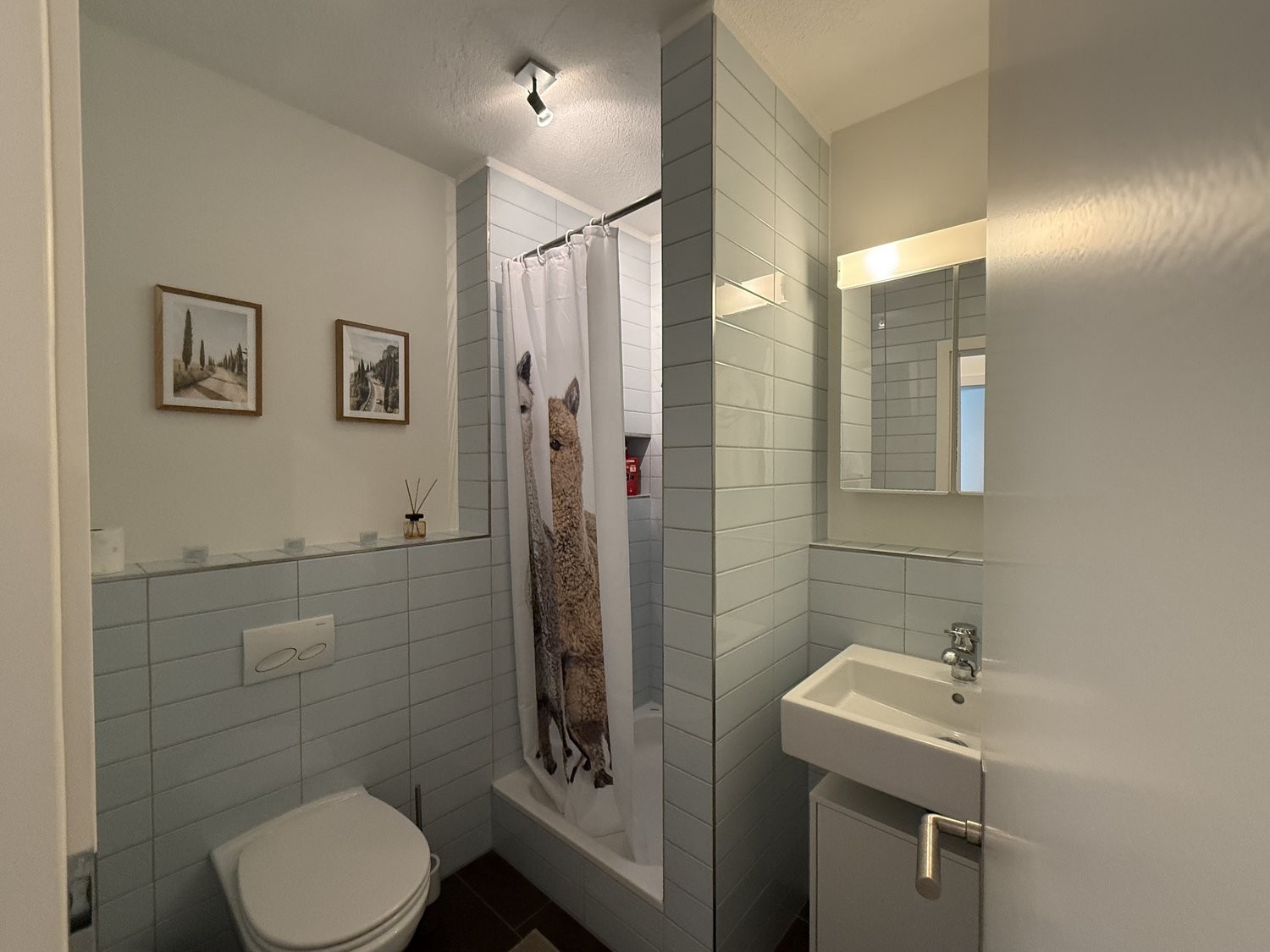 2 ½ rooms furnished flat