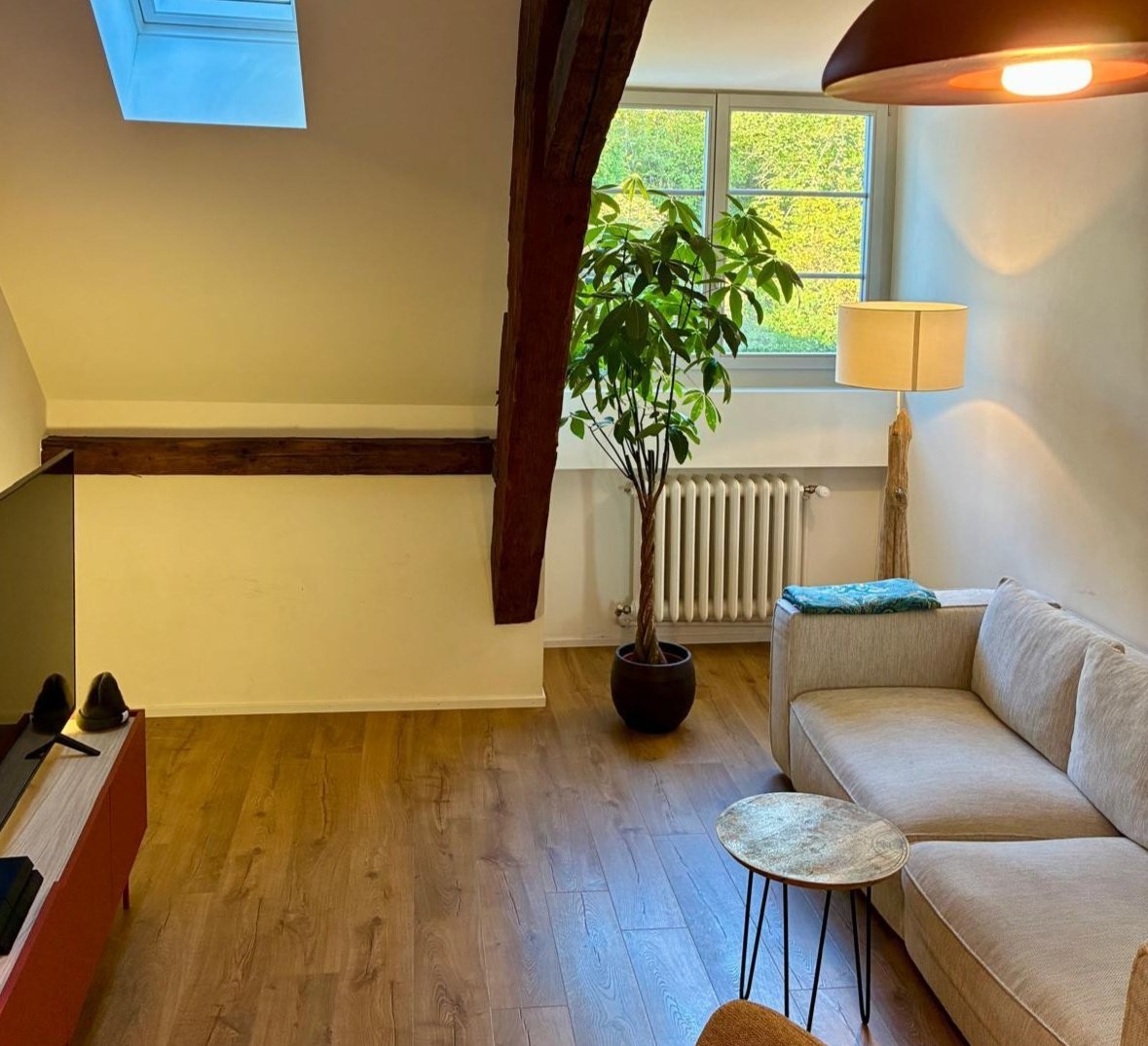 1 ½ rooms furnished flat