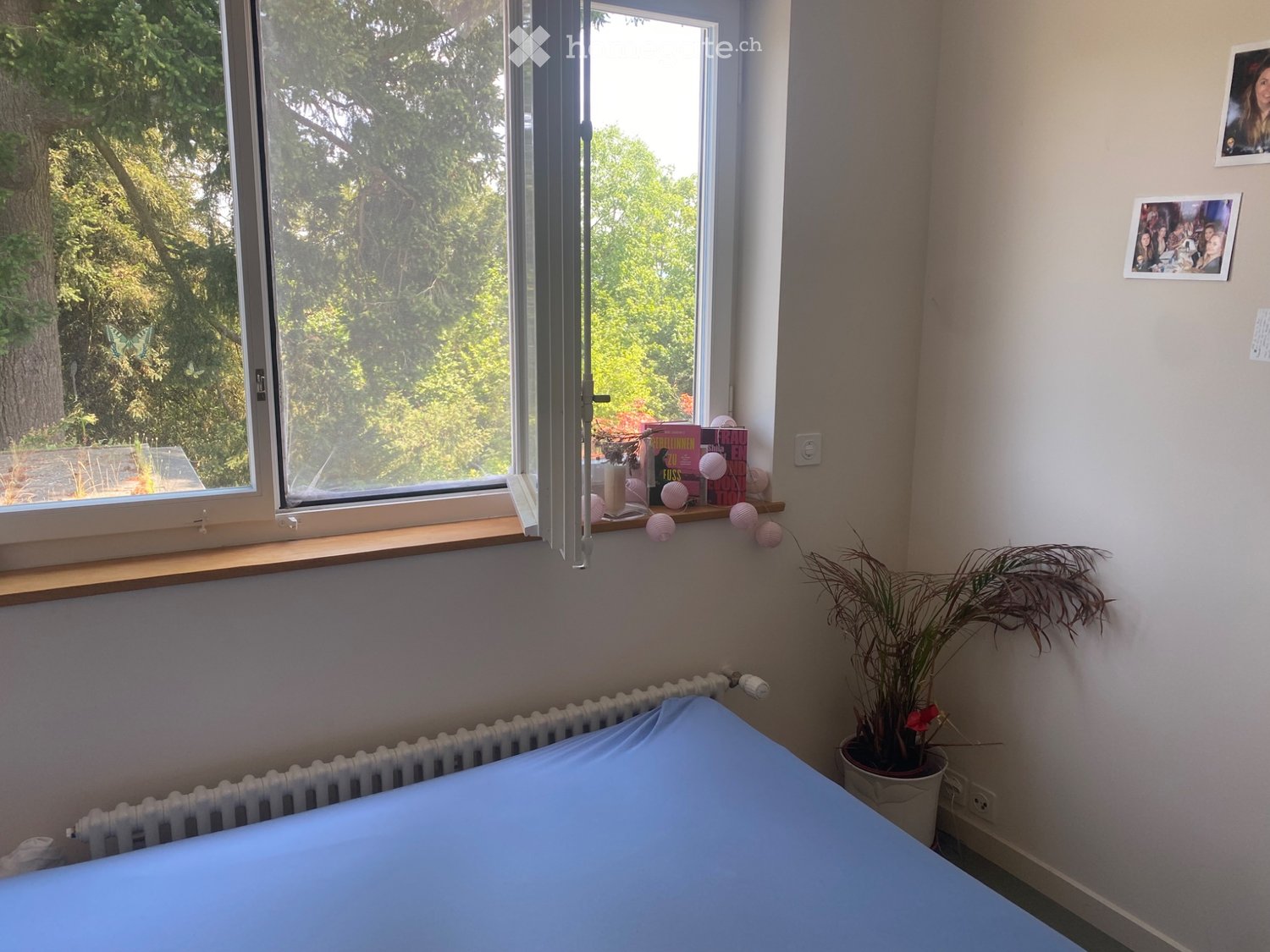 1 room single room, Foto 3 von 5