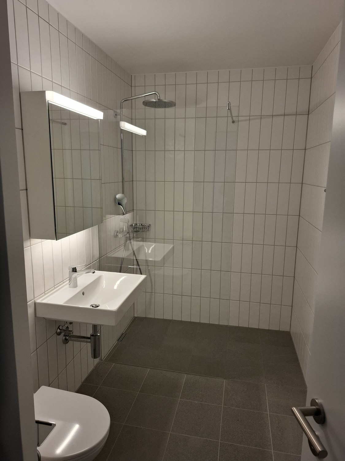2 ½ rooms apartment, photo 4 of 6