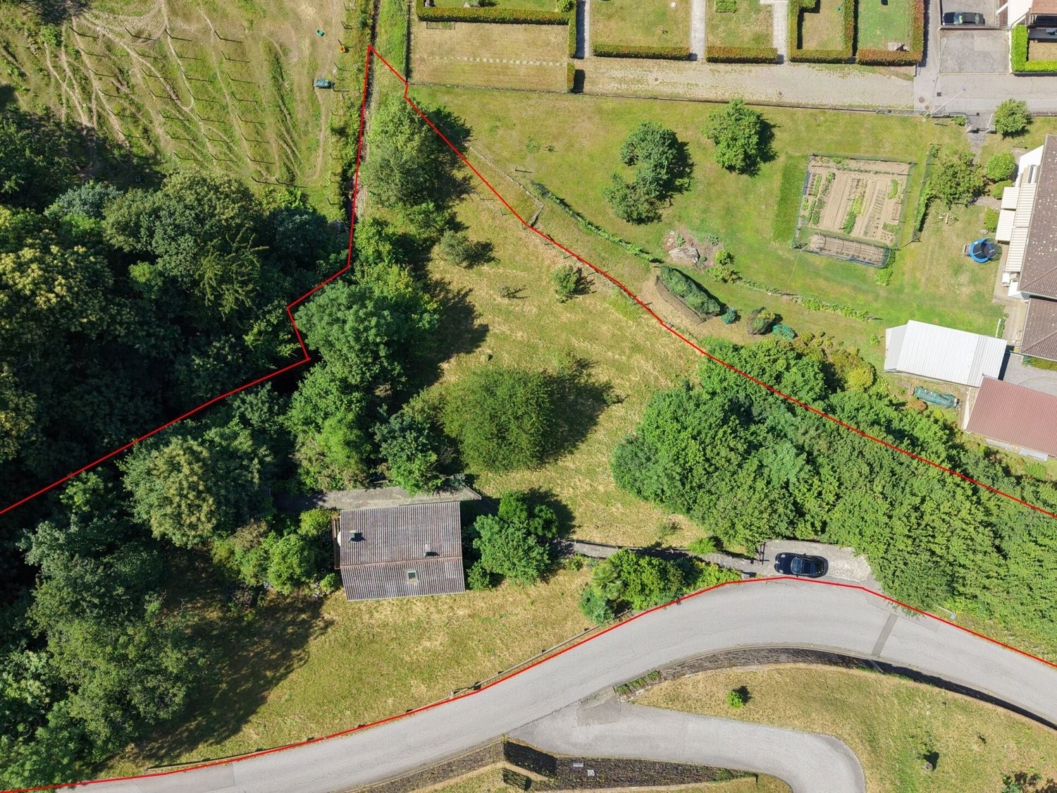 Terrain à bâtir de 3019m²