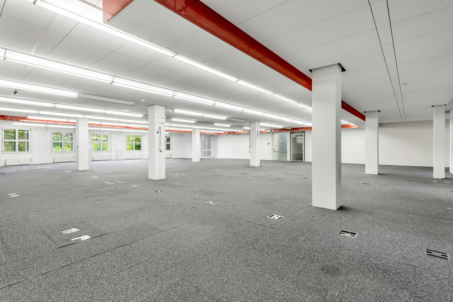 350m² commercial, photo 4 of 6