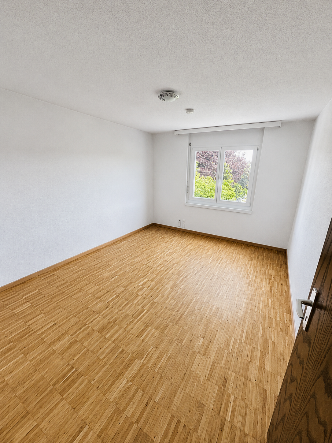 5 ½ rooms apartment