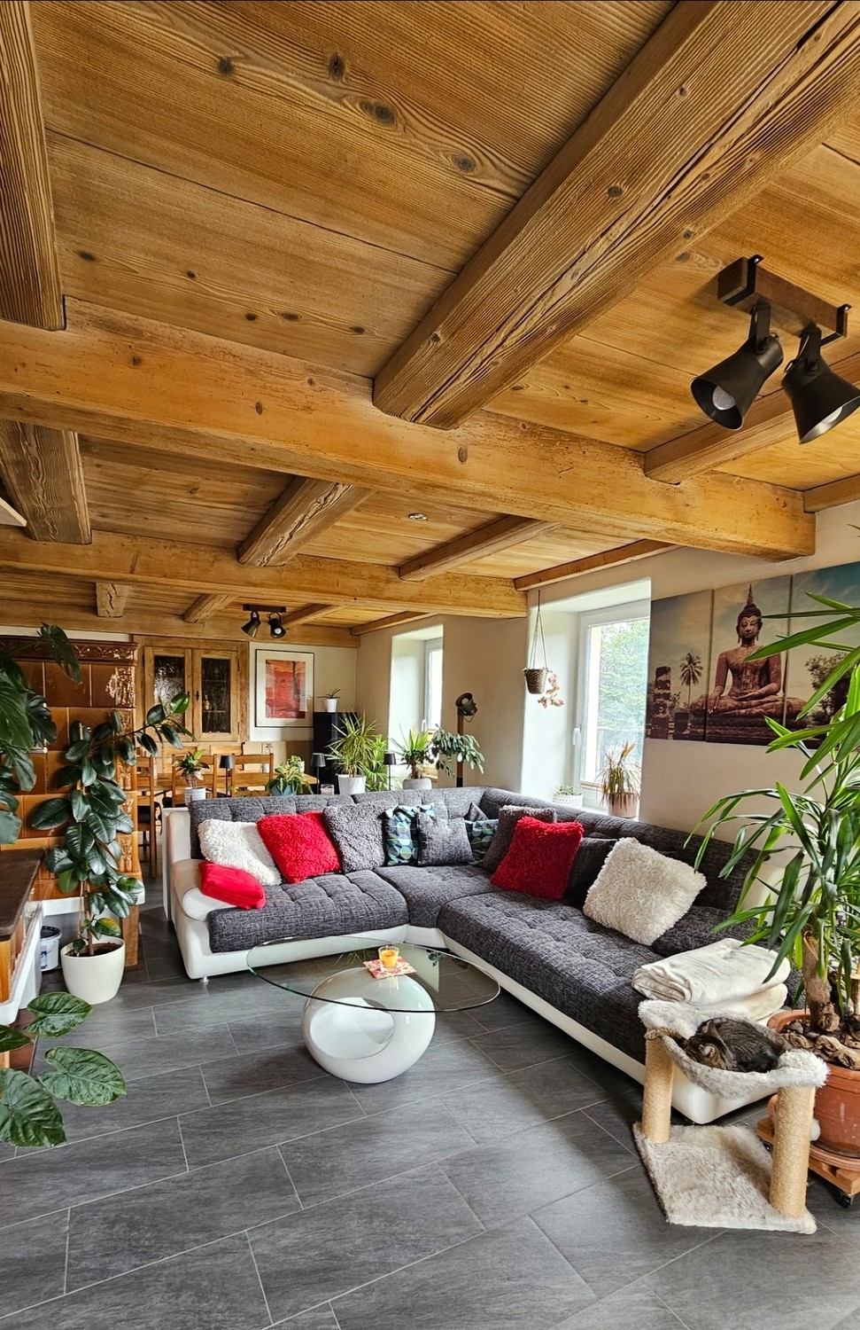 Room in a shared flat