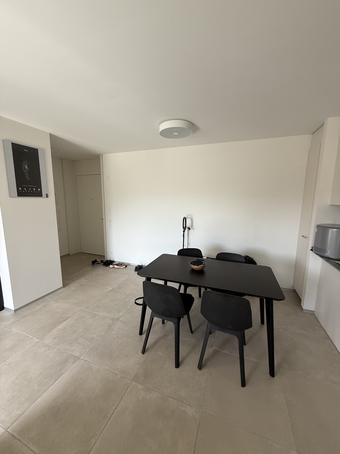 Appartement de 3 ½ pièces