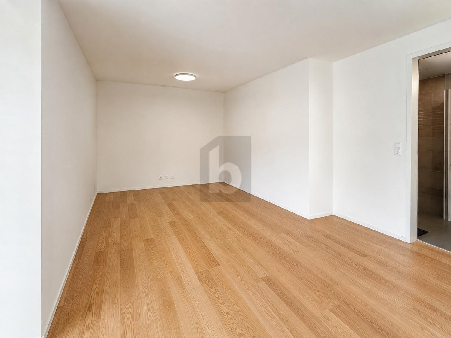 77m² office, photo 3 of 4