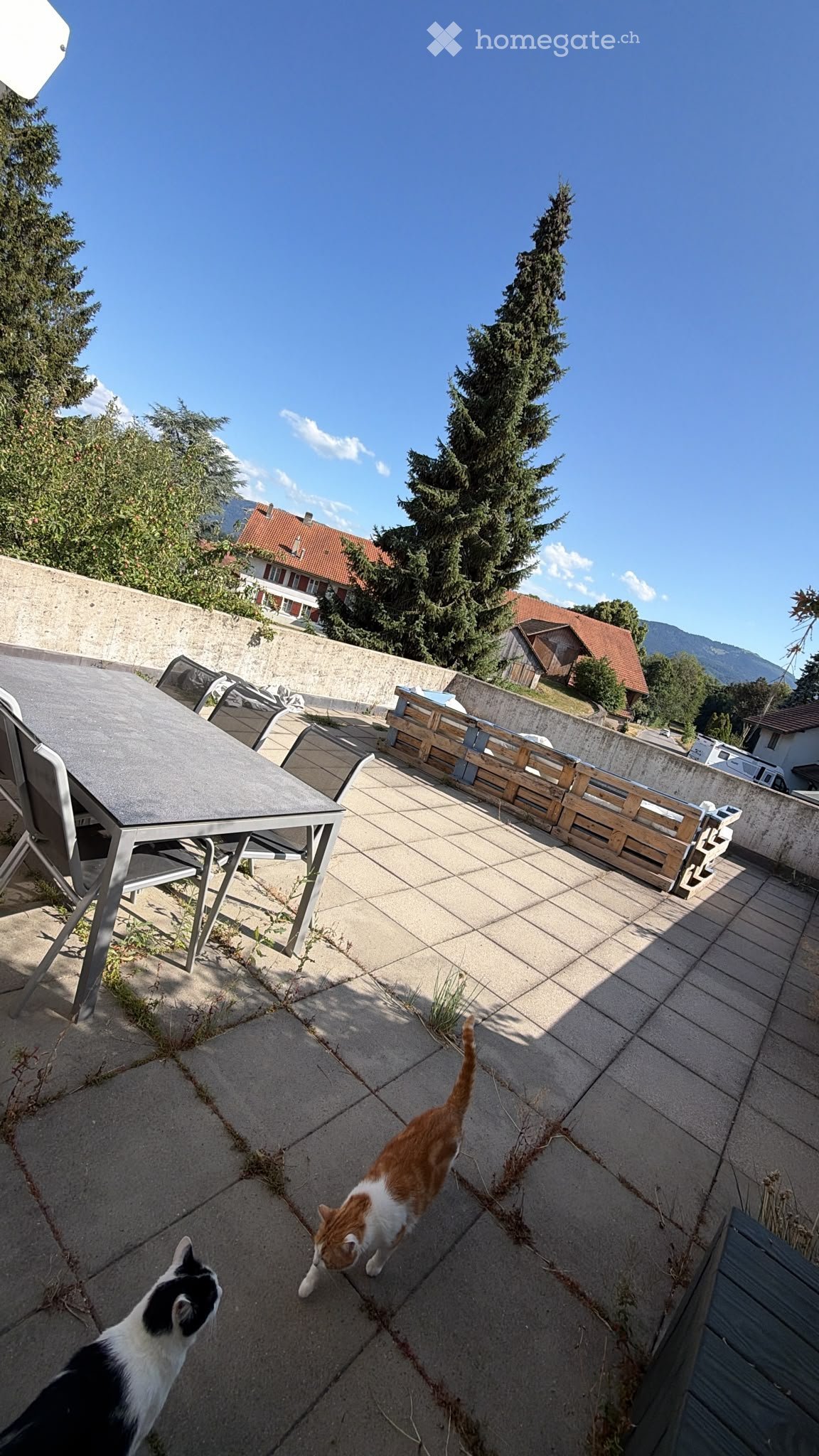 Appartamento di 3 ½ locali