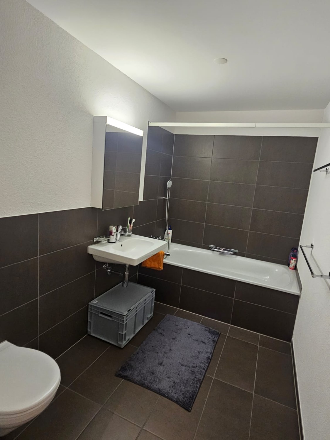 4 ½ rooms apartment