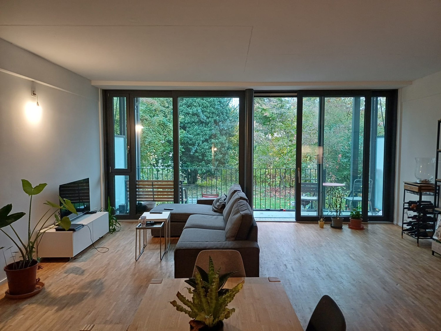 Room in a shared flat