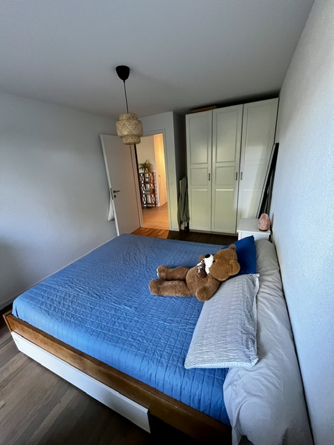 2.5 rooms with terrace and garden - Lausanne