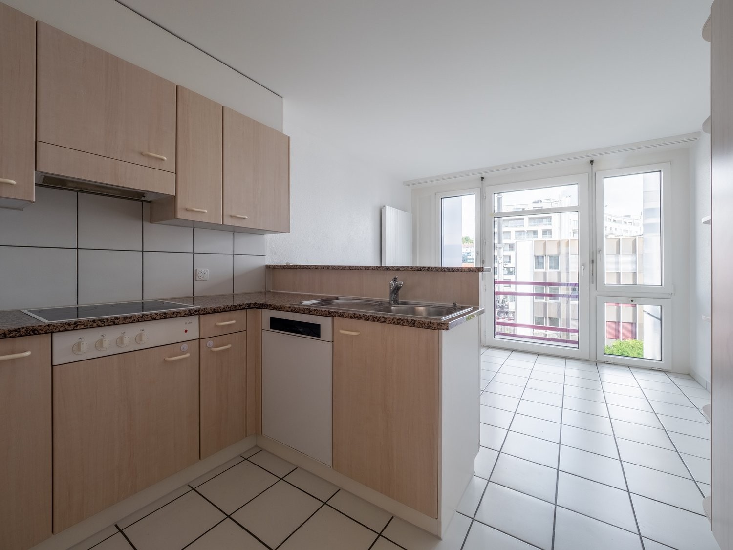 4 ½ rooms apartment (5)