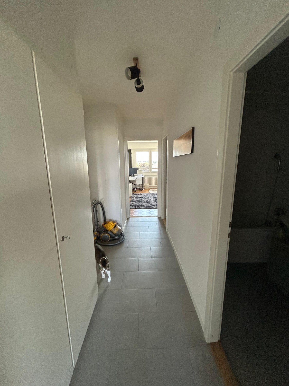 Appartamento di 3 ½ locali, foto 10 di 10