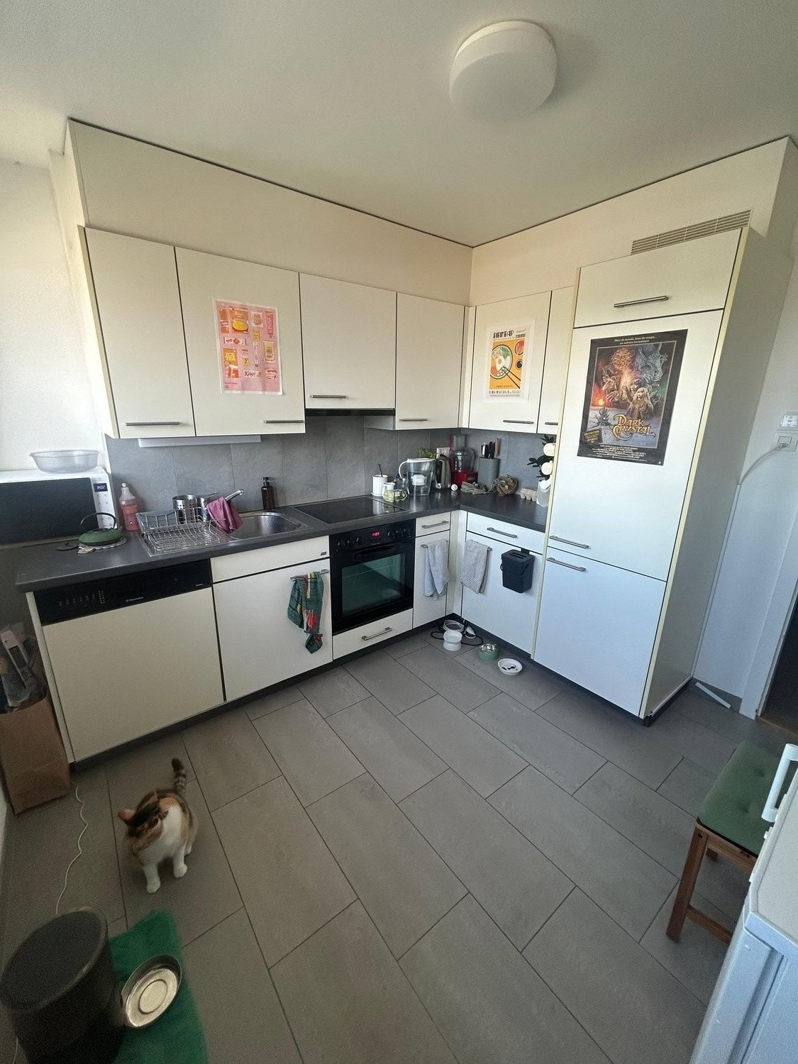 Appartamento di 3 ½ locali, foto 3 di 10