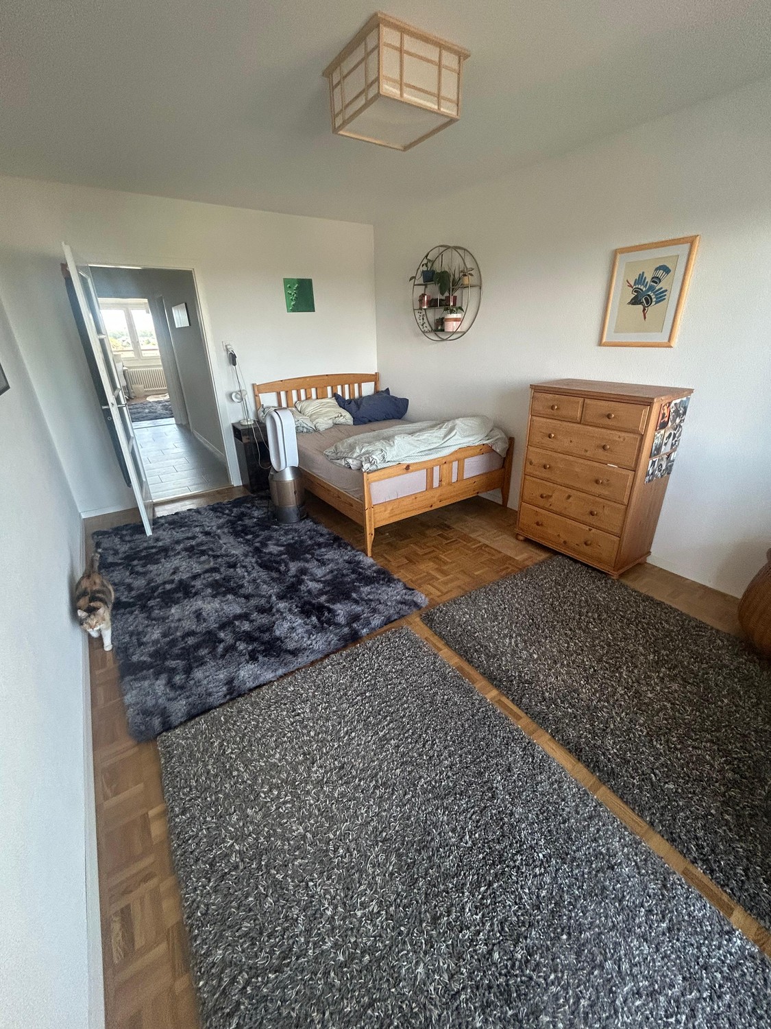 Appartamento di 3 ½ locali, foto 1 di 10