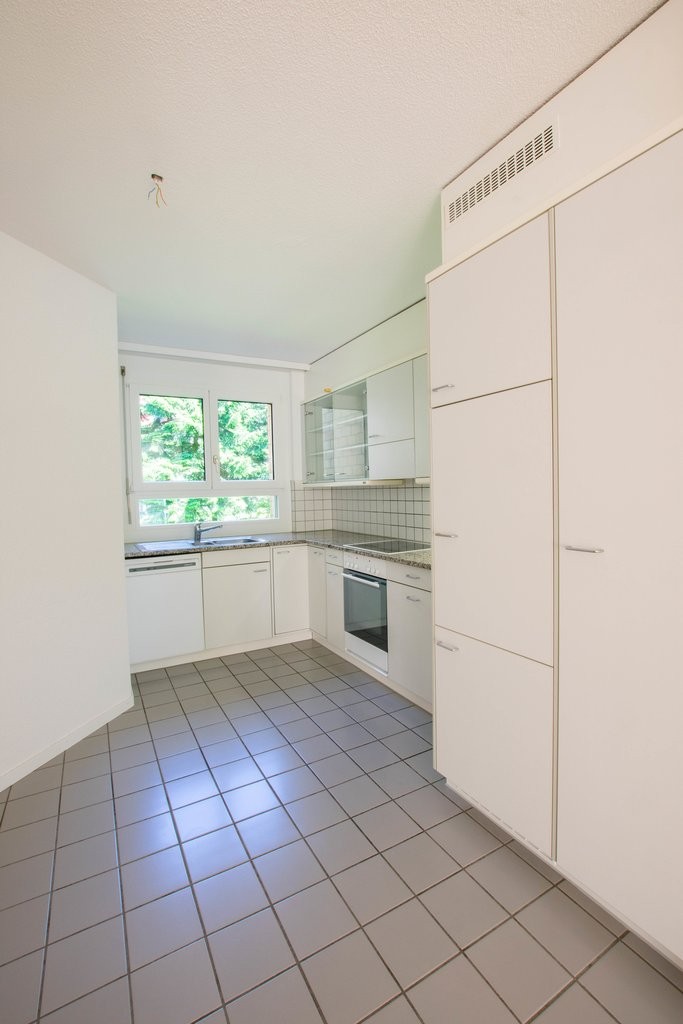 3 ½ rooms apartment (3)